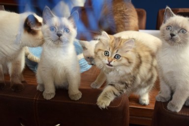 WK13_2016-07-03, 035_met Qwin en Teigen