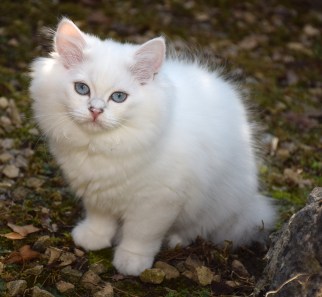 WK13_2016-07-04, 052