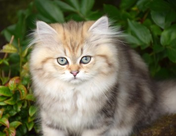 WK13_2016-07-04, 061