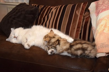 WK13_2016-07-04, 062