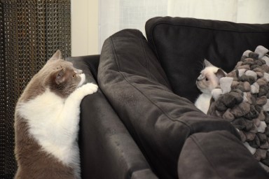 2016-07-14, 30_Qwin en Gaz