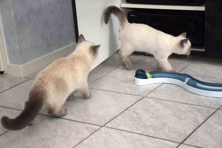 2016-07-16, 17_Teigen en Xem