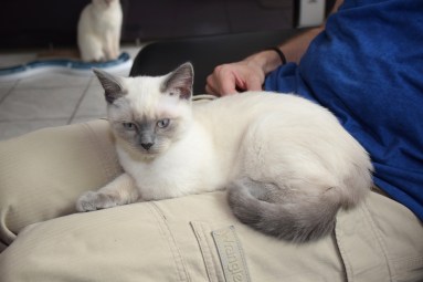 2016-07-16, 35_Teigen