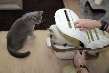 2016-07-18, 01_Elsha en Bowie