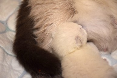 WK01_2016-04-18_070_Qwin