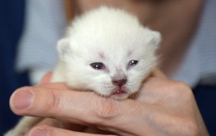 WK02_2016-04-22_019_Teigen