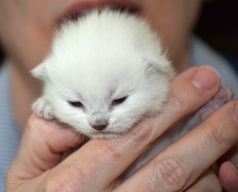 WK02_2016-04-22_026_Qwin