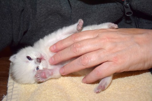 WK02_2016-04-22_047_Qwin