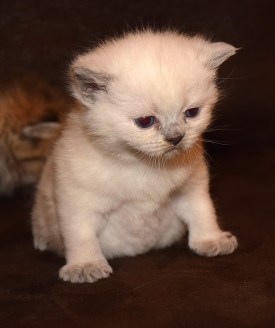 WK03_2016-05-04_058_Qwin