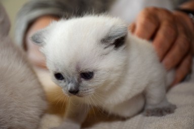 WK04_2016-05-05_012_Elsha