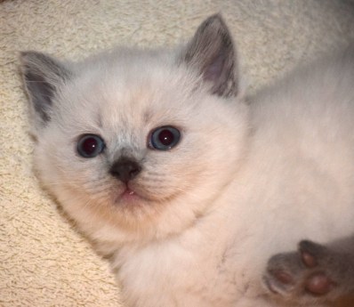 WK04_2016-05-11_031_Qwin