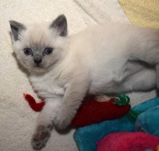 WK05_2016-05-14_014_Elsha