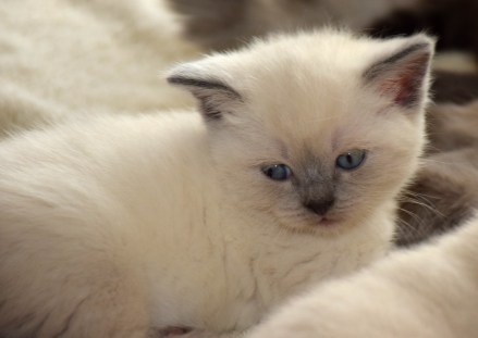 WK05_2016-05-15_020_Elsha