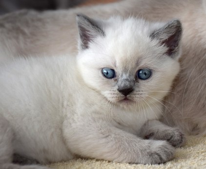 WK05_2016-05-16_046_Qwin