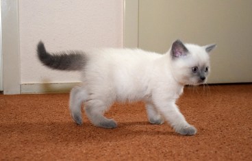 WK06_2016-05-23_044_Teigen