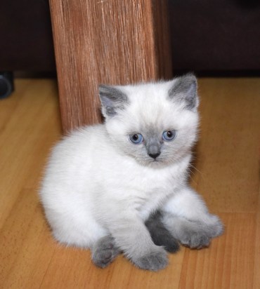 WK06_2016-05-23_059_Elsha