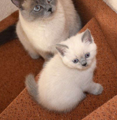 WK06_2016-05-24_078_Qwin