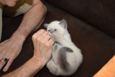 WK07_2016-05-27_025_Teigen