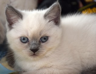 WK07_2016-05-29_051_Qwin