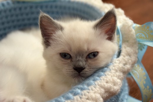 WK07_2016-05-29_075_Qwin