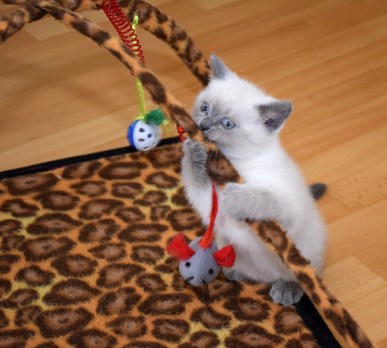 WK08_2016-06-03_012_Elsha