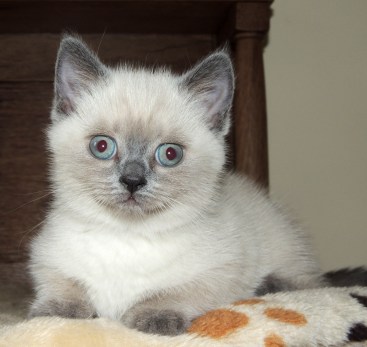 WK08_2016-06-03_031_Elsha