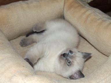 WK08_2016-06-03_037_Elsha