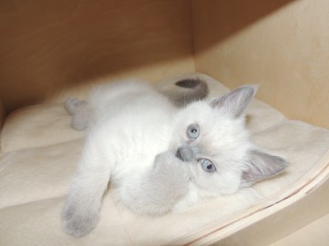 WK08_2016-06-03_039_Qwin