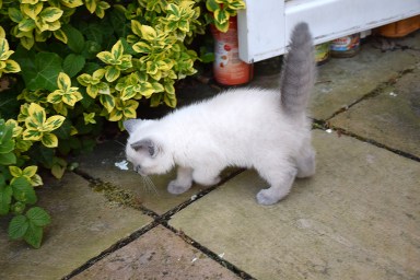 WK08_2016-06-05_074_Elsha