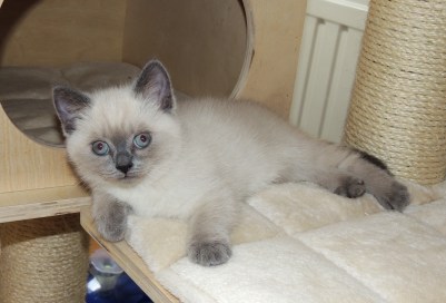 WK08_2016-06-07_101_Elsha