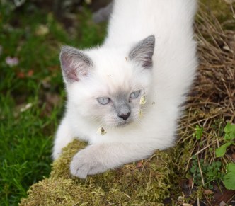 WK09_2016-06-10_014_Qwin