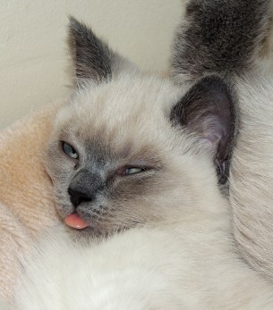 WK10_2016-06-16_010_Elsha