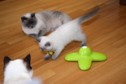 WK10_2016-06-17_025_Qwin