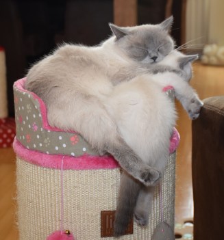 WK10_2016-06-17_034_Teigen