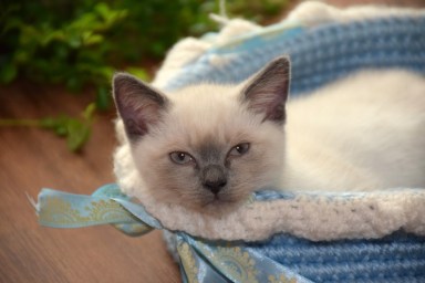 WK10_2016-06-20_048_Teigen