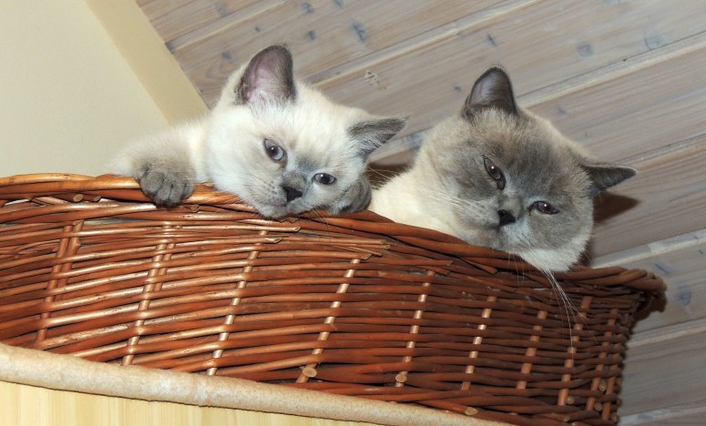 WK10_2016-06-21_052_Qwin