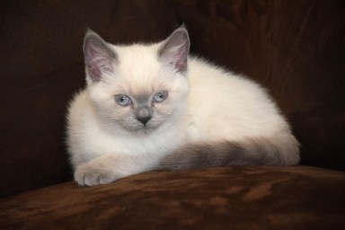 WK10_2016-06-22_055_Qwin