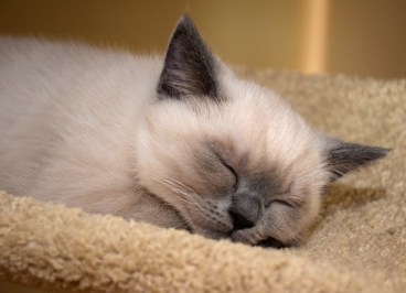 WK11_2016-06-24_001_Qwin