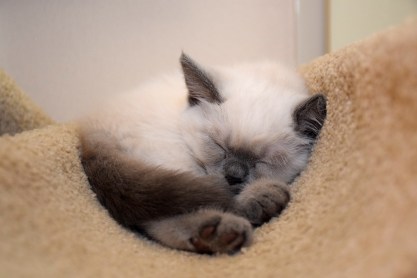 WK11_2016-06-24_006_Qwin