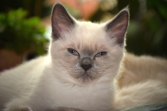 WK12_2016-07-01, 012_Qwin