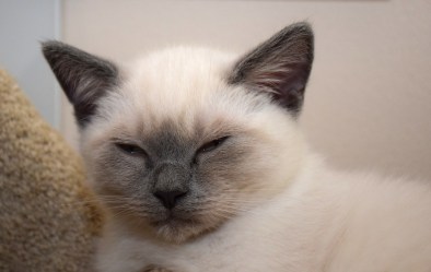 WK12_2016-07-01, 014_Teigen