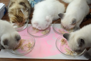 WK12_2016-07-02, 029