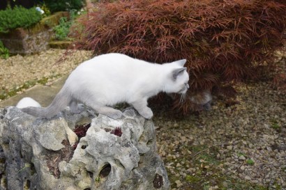 WK12_2016-07-04, 073_Teigen