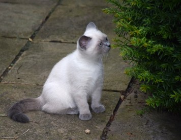 WK12_2016-07-04, 076_Elsha