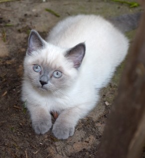 WK12_2016-07-04, 077_Teigen