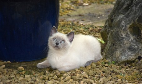 WK12_2016-07-04, 083_Elsha