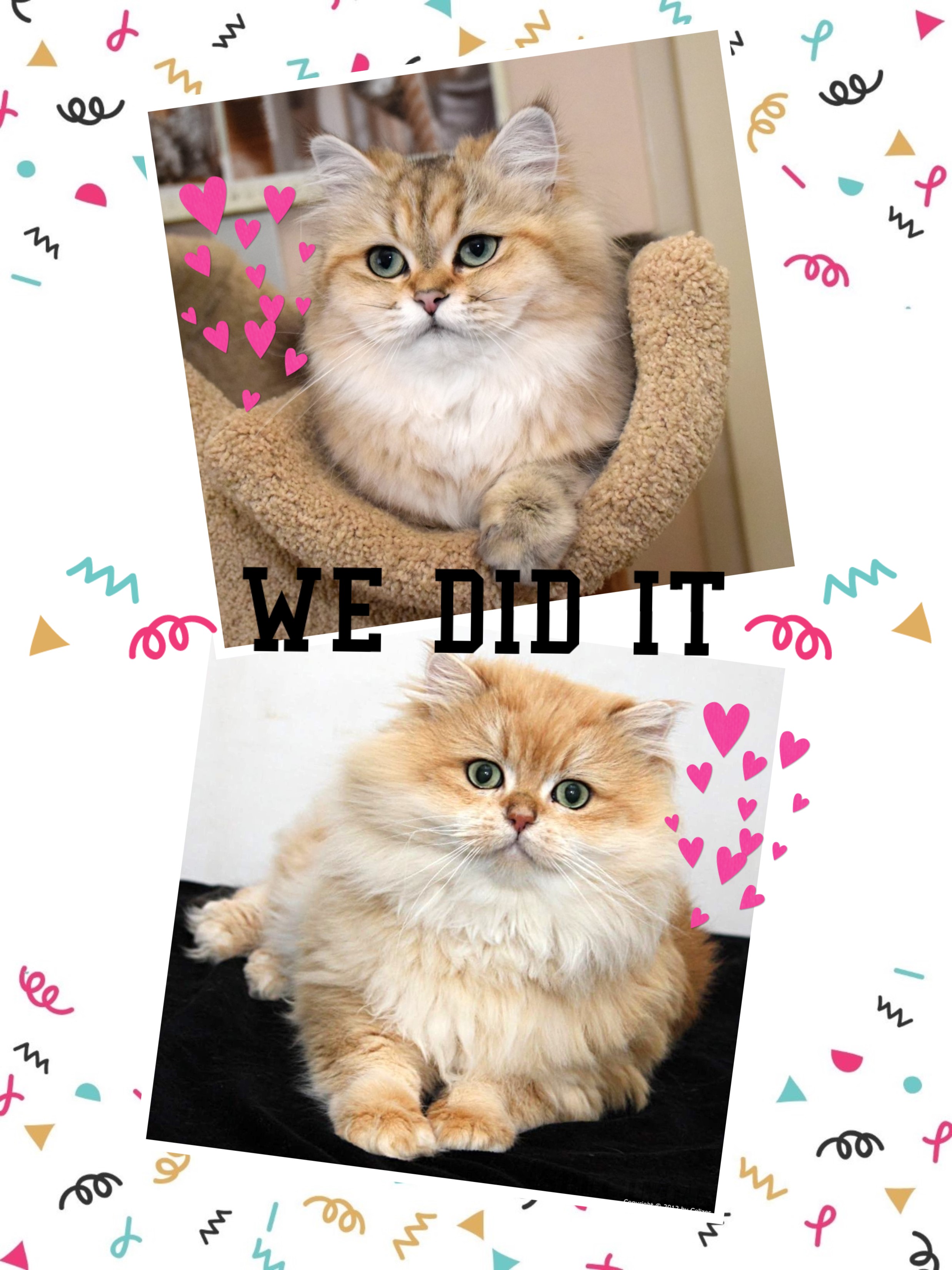 Fulco de minstreel: een historisch verhaal uit de tijd van Graaf Jan I, image size:2475x3300